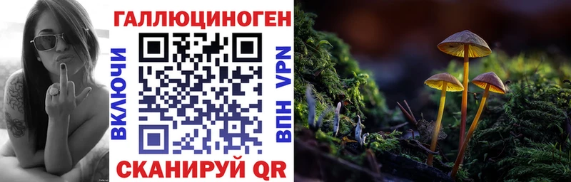 Псилоцибиновые грибы Cubensis  MEGA ONION  Чкаловск 